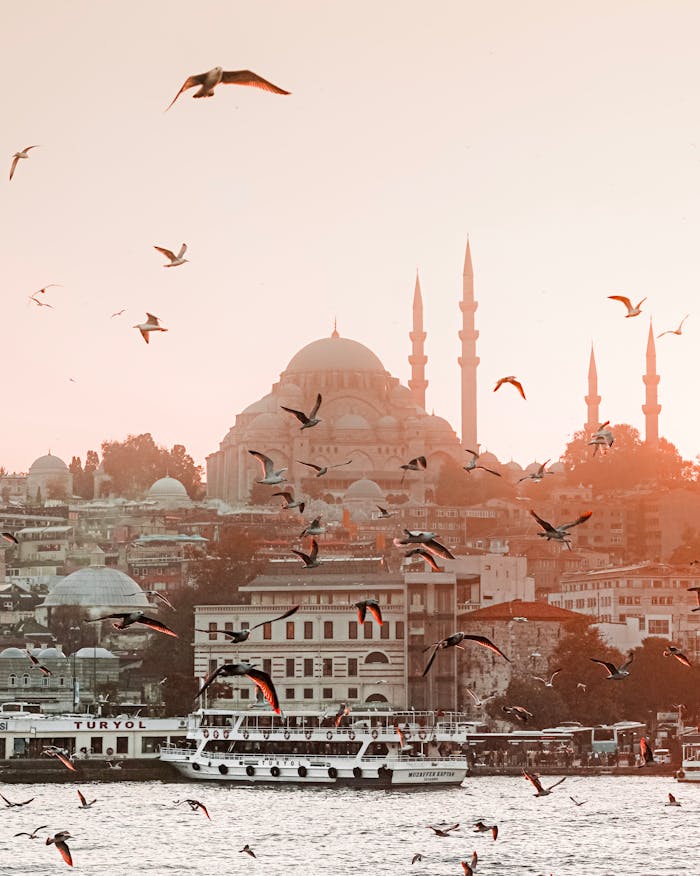 About Istanbul skyline at sunset with birds soaring above, highlighting iconic architecture.